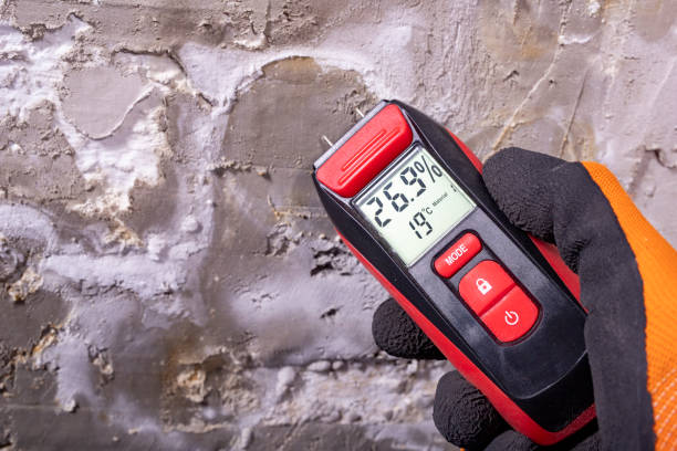 Mold Removal and Inspection in Batavia, OH